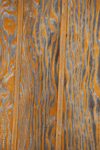 wood texture