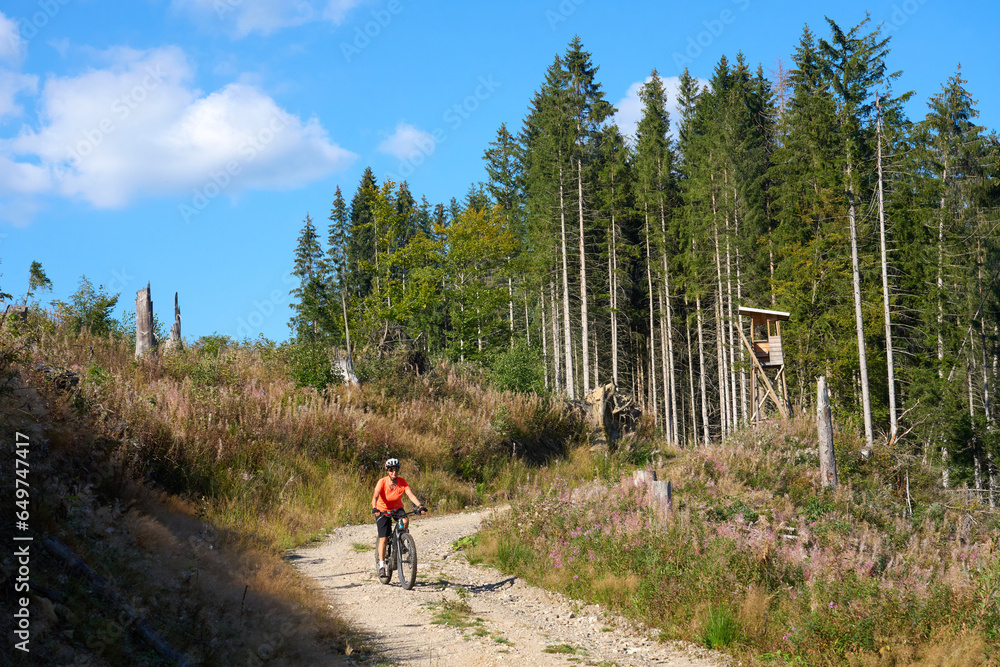 nice senior woman on her electric mountain bike cycling in the German Black Forest near Titisee-Neustadt, Baden-Württemberg, Germany nice senior woman on her electric mountain bike cycling in the German Black Forest near Titisee-Neustadt, Baden-Württemberg, Germany