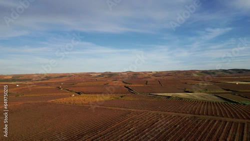 Aerial view of vineyards in autumn. Shot forward where you can see a tractor located by GPS. Smart agriculture, Industry 4.0.