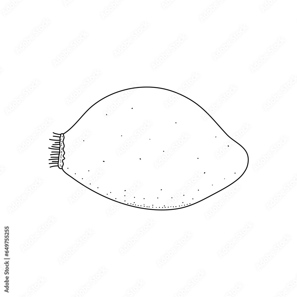 Rosehip doodle sketch. Vector graphics isolated on white background Rosehip doodle sketch. Vector graphics isolated on white background