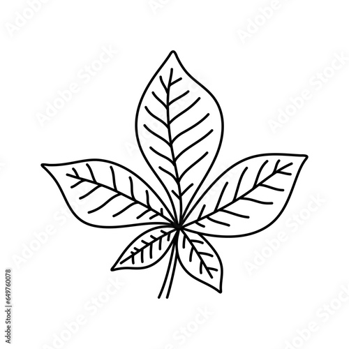 Simple doodle outline leaf of chestnut tree. Vector illustration, isolated on a white background