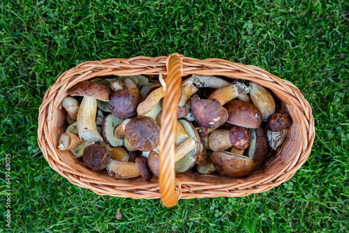 Porcini mushroom and chestnut boletus in a wicker basket in top view