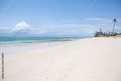 Paradise beach with white sand and palms. Diani Beach at Indian ocean surroundings of Mombasa  Kenya. Landscape photo exotic beach in Africa