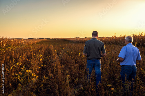 Rear view of two farmers walking in a field examining soy crop.