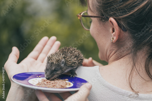 Frau sorgt sich um jungen Igel, Igelbaby, Jungtier. Menschen Tier. Vorsorge. Versorgen. Füttern. Jungtier. Zusammenhalt.