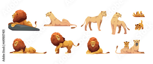 Cartoon lioness. Cute family jungle cats, lion mother and cub flat style, Africa savana zoo animals, cat predators pride. Vector colorful set