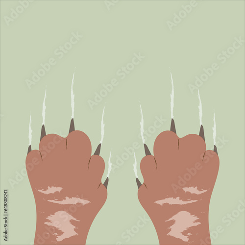Cat paws with claws scratching green wallpaper . favorite pet . A pet scratching a wall with claws