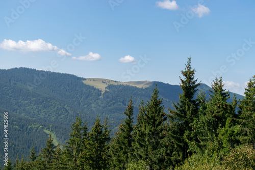 Mountain landscape with forest in the Carpathian mountains of Ukraine. © Ruslan