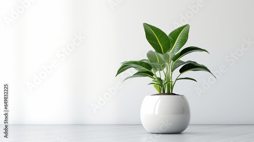 White Pot Modern Plant white background, minimal, generative ai © Deep Ai Generation