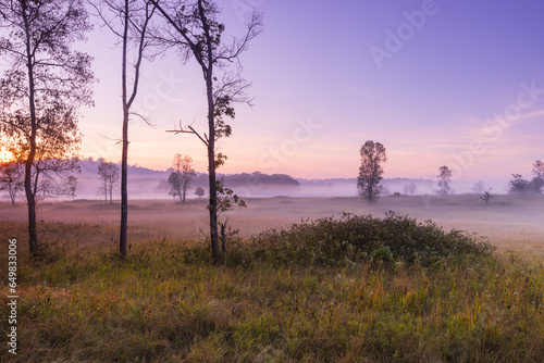 Colorful in the morning at Phu Khieo wildlife  Sanctuary, Chaiyaphom Province, Thailand. photo