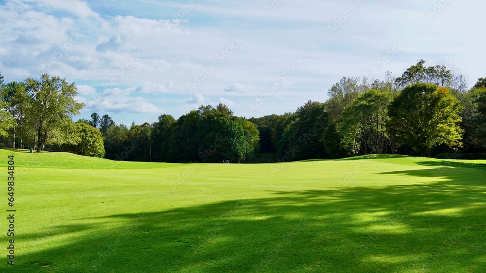 Treelined golf course fairway 