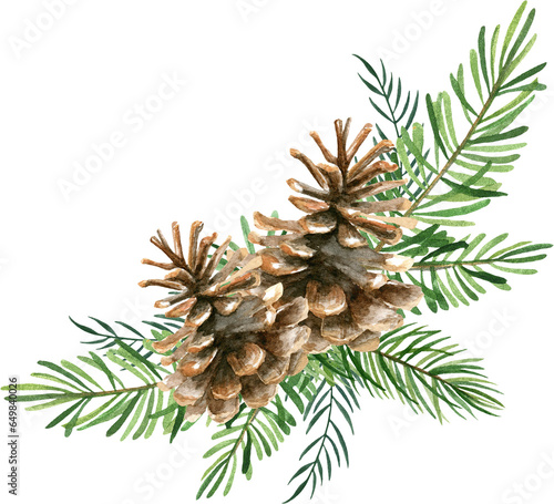 Murais de parede Hand drawn watercolor Christmas composition with fir branches and two pine cones