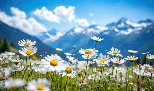 Close-up vast field of delicate white daisies under a clear sky  with towering alpine mountains in the backdrop. Created by AI tools