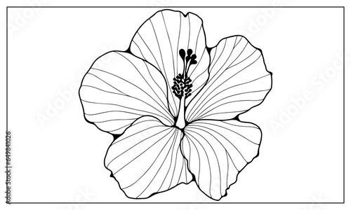 Black outline of a lush flower on a white background. Floral background for coloring, creating various designs and patterns. Silhouettes of branches with leaves.
