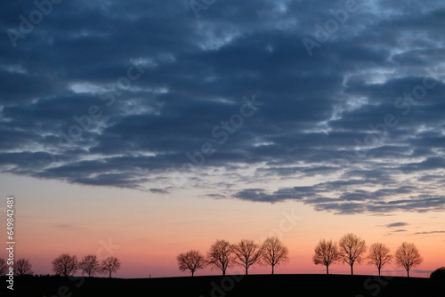 Sonnenuntergang bei dramatischem Himmel und Baumreihe