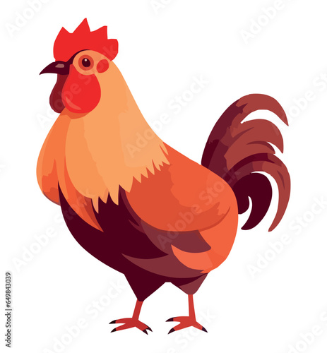 Cute rooster standing