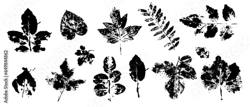 Set of prints of various autumn leaves.Vector graphics.