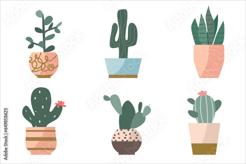 set of succulents in cute decorative flowerpots 