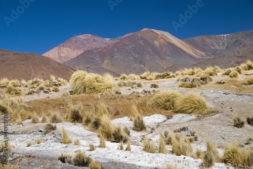 Colourful Landscape At The Paso De Bayo; San Antonio De Los Cobres, Salta, Argentina photo