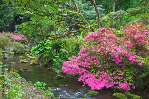 Spring Blossoms Along A Trail And Creek In Crystal Springs Gardens; Portland, Oregon, United States Of America
