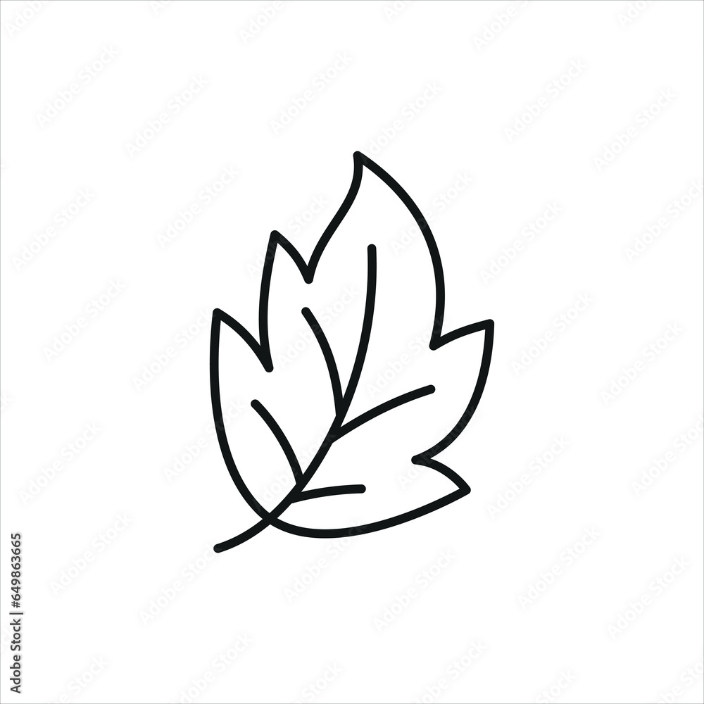 Leaf icon vector illustration. Leaf tree on isolated background. Plant sign concept.