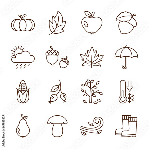 Fall leaf icon vector illustration. Set of autumn on isolated background. Season sign concept.