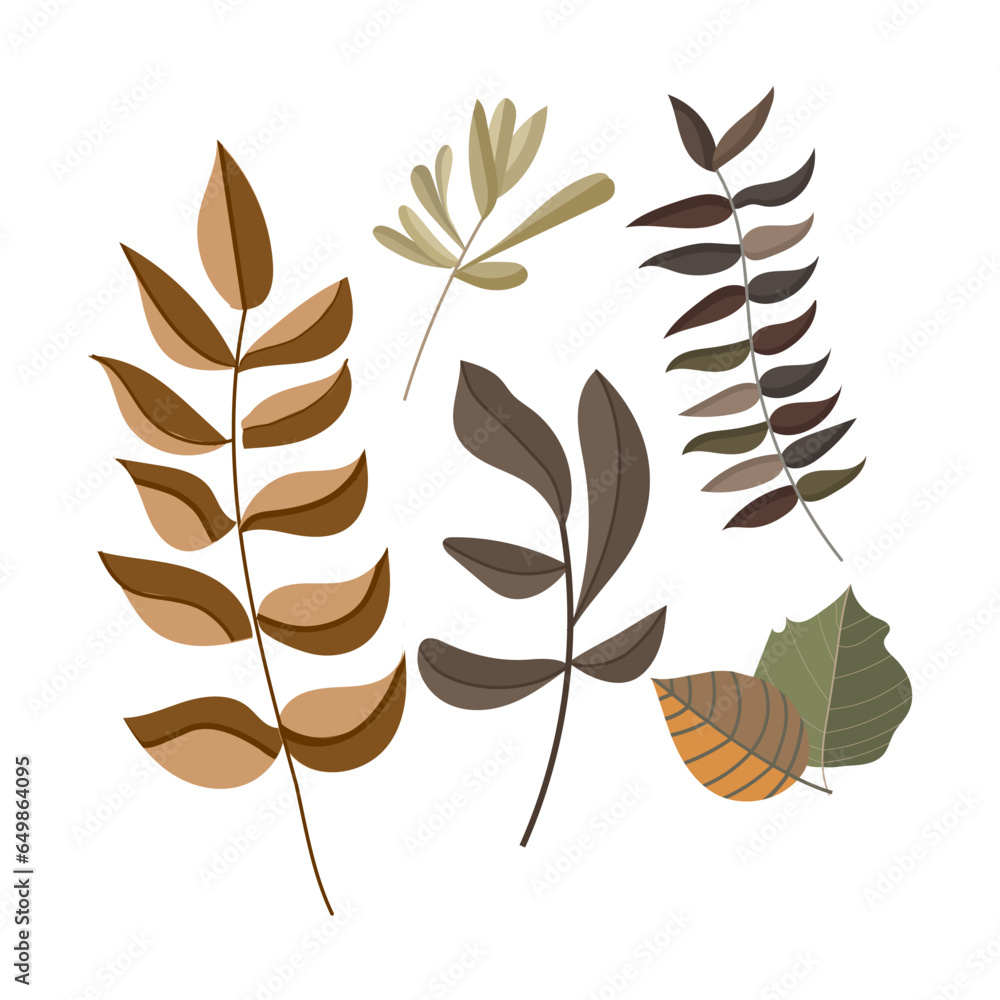 Set of different leaves in the form of a herbarium Set of different leaves in the form of a herbarium