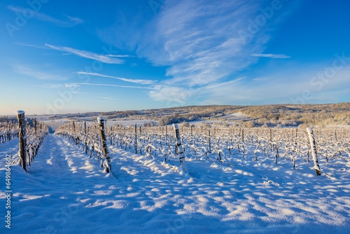 Landscape near Hnanice, NP Podyji, Southern Moravia, Czech Republic photo