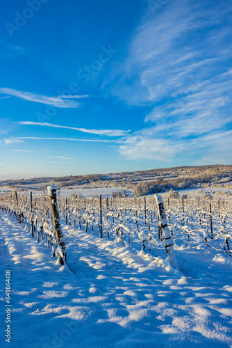 Landscape near Hnanice, NP Podyji, Southern Moravia, Czech Republic photo