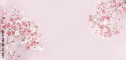 Pink background of branches Gypsophyla flower. Summer or spring floral composition. Flat lay, copy space. Frame for text