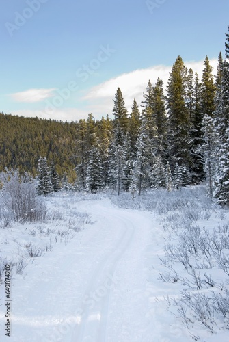 Cross-Country Skiing Trail In The Foothills Of The Canadian Rockies; Bragg Creek, Alberta, Canada