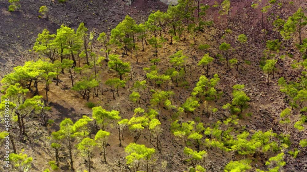 Aerial view of the San Antonio volcano in the south of La Palma, Spain. Aerial view of the San Antonio volcano in the south of La Palma, Spain.