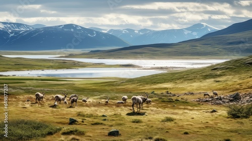 tallgrass taymyr prairie landscape illustration outdoors field, sky horizontal, plains kansas tallgrass taymyr prairie landscape