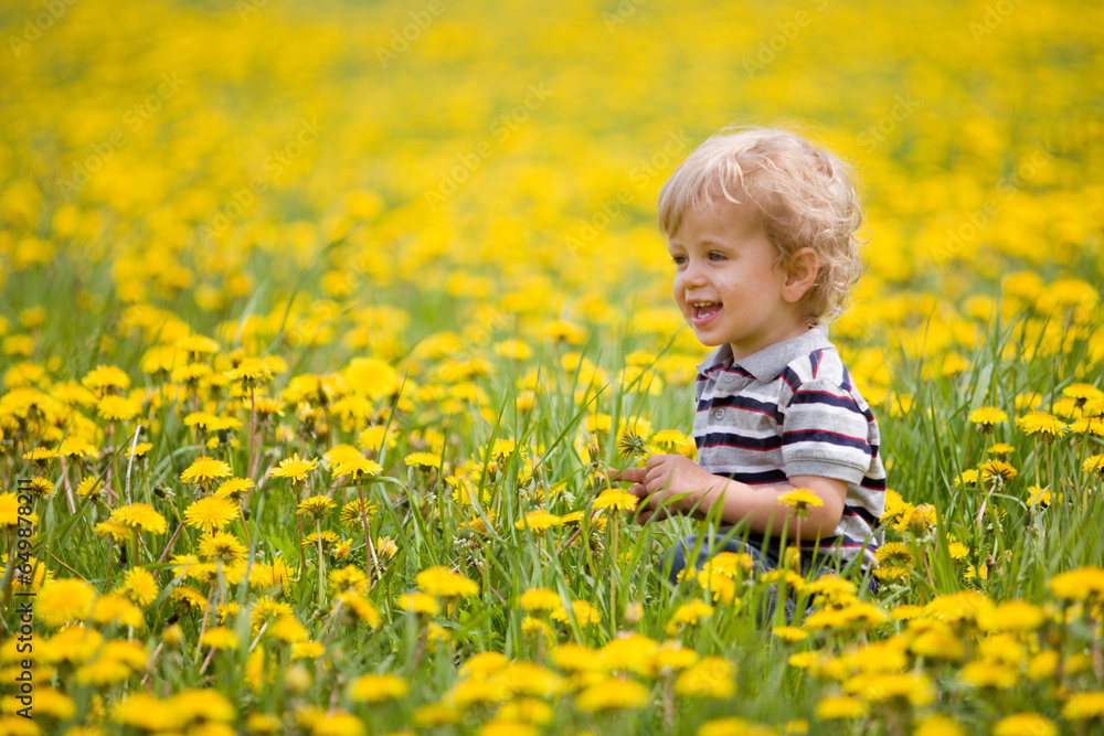 18-Month-Old Boy In Dandelion Field; Thunder Bay, Ontario, Canada 18-Month-Old Boy In Dandelion Field; Thunder Bay, Ontario, Canada