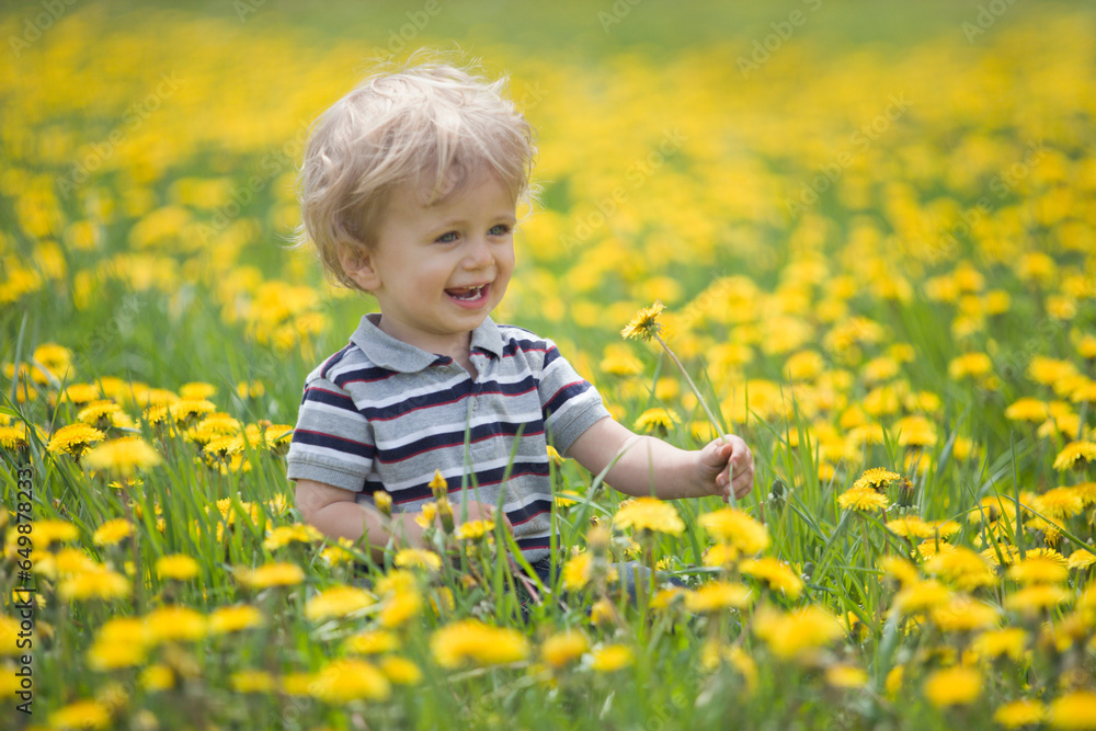 18-Month-Old Boy In Dandelion Field; Thunder Bay, Ontario, Canada 18-Month-Old Boy In Dandelion Field; Thunder Bay, Ontario, Canada