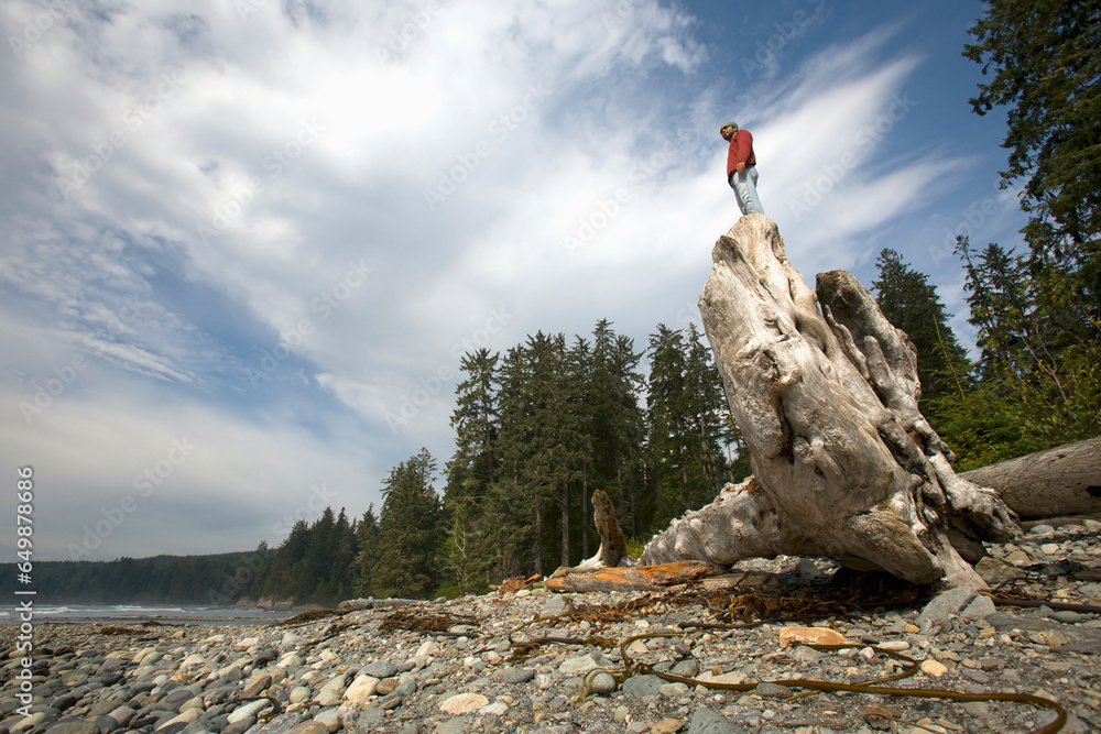 A Man Stands On A Large Drift Log; Sombrio Beach, Vancouver Island, British Columbia, Canada