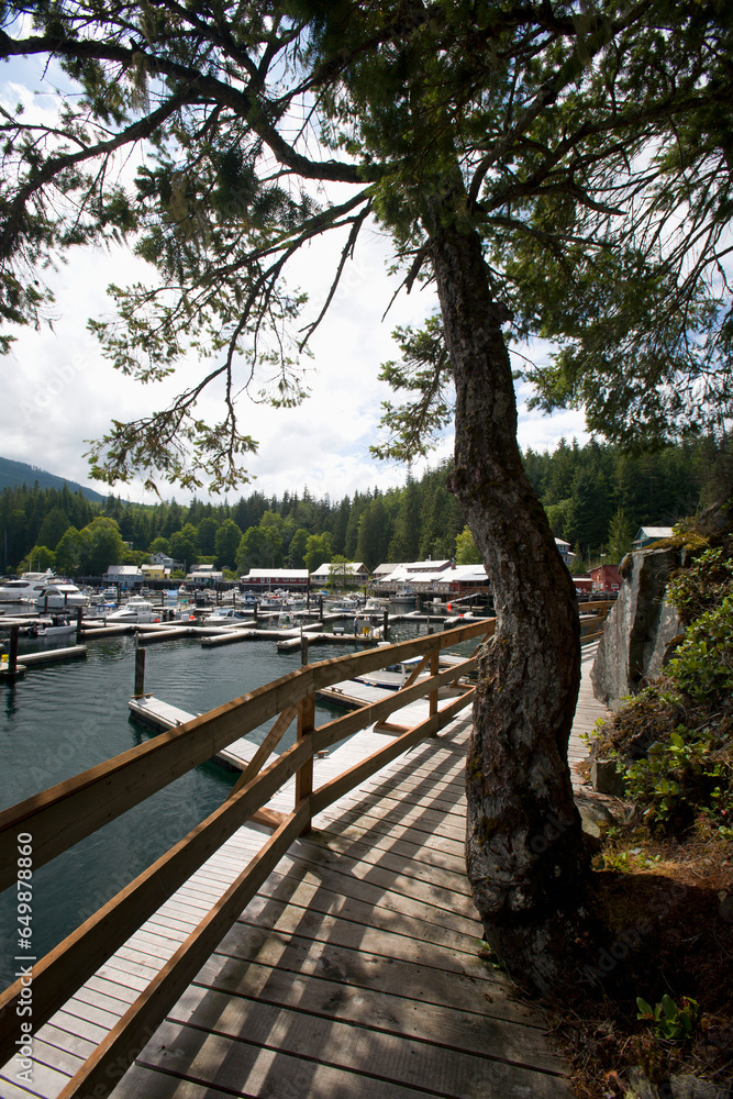 Fototapeta premium Docks And Marina; Telegraph Cove, Vancouver Island, British Columbia, Canada