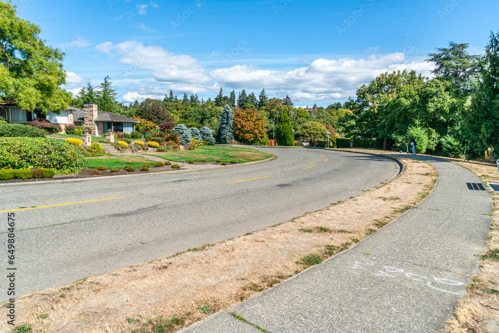 Magnolia Street View Magnolia Street View