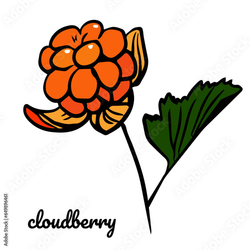 Cloudberry color icon. Vector doodle colored illustration on white background. Hand drawn cloudberry for package, textile, menu or logo design.