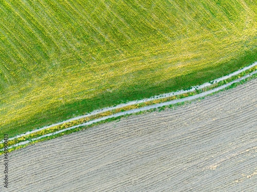 Aerial view of farmland with path through fields.