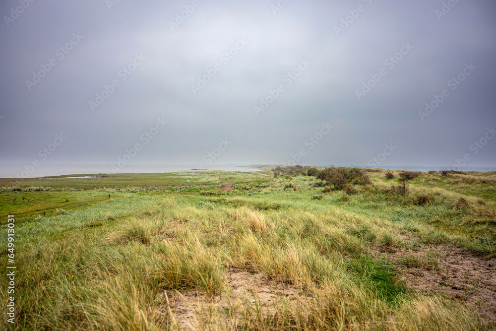 Landscape impression of nature reserve Saksfjed, Hyllekrog in Denmark in summer at a cloudy day Landscape impression of nature reserve Saksfjed, Hyllekrog in Denmark in summer at a cloudy day