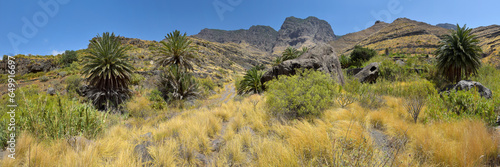 Landschaft in den Bergen der Insel Gran Canaria