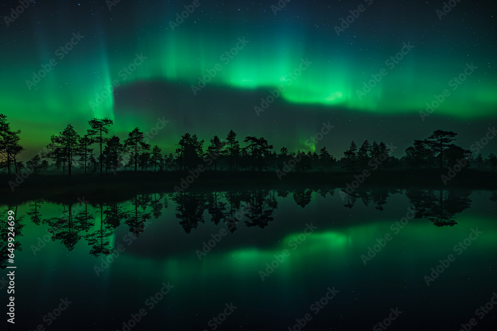 Green aurora borealis lights reflected on the surface of a small lake in the woods in Finland