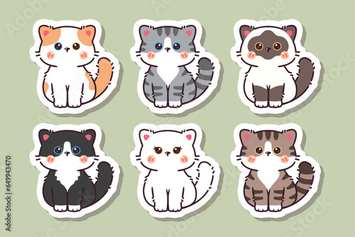 Cute kawaii cat sticker with blank label name tag cartoon vector set collection. Cute cat vector.