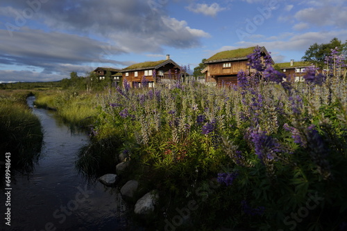 storehouses on beautiful flower meadow in Norway photo