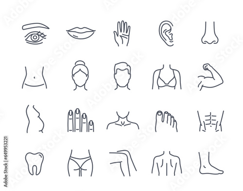 Human body parts icon set. Outline icons with ear and eye, fingers and hand, muscles and back, lips and teeth. Anatomy, health and medicine. Linear flat vector collection isolated on white background