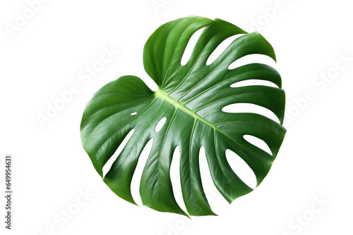Monstera leaf isolated on transparent background. Generative ai