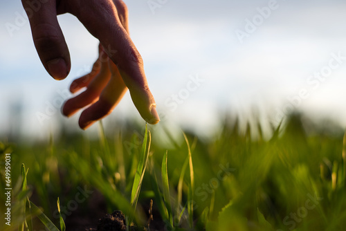 hand and grass