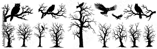 dead dried scary tree silhouette trees forest illustration. halloween vector raven owl
