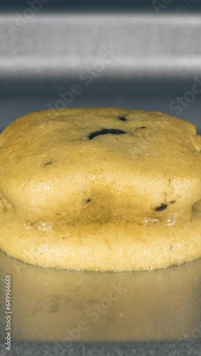 Oatmeal and chocolate chip cookies cooking time lapse in oven.  Vertical view.